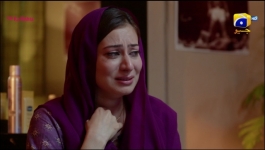 Tauba - Episode 53 - 8th December 2024